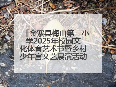 金寨县梅山第一小学2025年校园文化体育艺术节暨乡村少年宫文艺展演活动圆满落幕