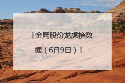 金鹰股份龙虎榜数据（6月9日）