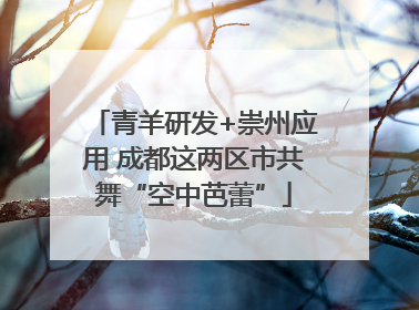 青羊研发+崇州应用 成都这两区市共舞“空中芭蕾”
