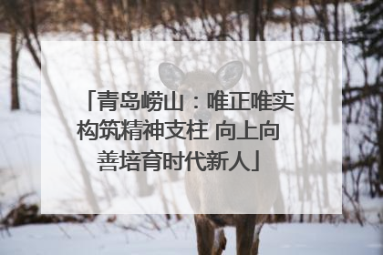 青岛崂山：唯正唯实构筑精神支柱 向上向善培育时代新人