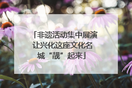非遗活动集中展演 让兴化这座文化名城“靓”起来