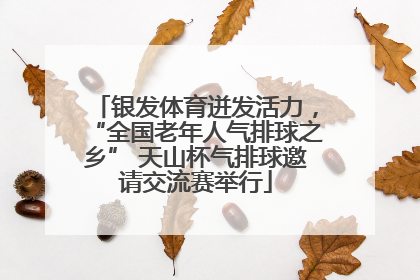 银发体育迸发活力，“全国老年人气排球之乡” 天山杯气排球邀请交流赛举行