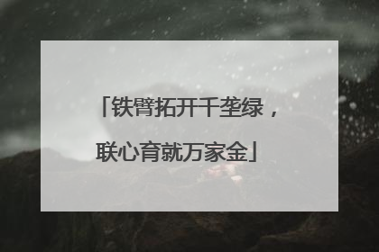 铁臂拓开千垄绿，联心育就万家金