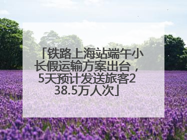 铁路上海站端午小长假运输方案出台，5天预计发送旅客238.5万人次