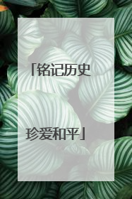 铭记历史 珍爱和平