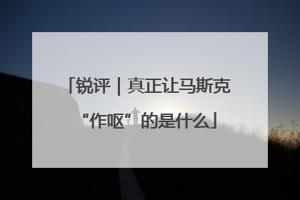 锐评｜真正让马斯克“作呕”的是什么