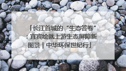 长江首城的“生态答卷”：宜宾绘就上游生态屏障新图景｜中华环保世纪行
