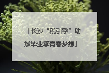 长沙“税引擎”助燃毕业季青春梦想