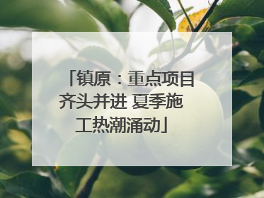镇原：重点项目齐头并进 夏季施工热潮涌动