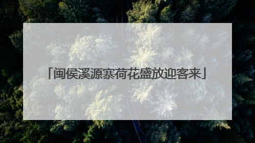 闽侯溪源寨荷花盛放迎客来
