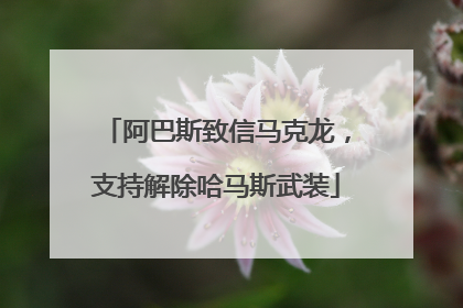 阿巴斯致信马克龙，支持解除哈马斯武装
