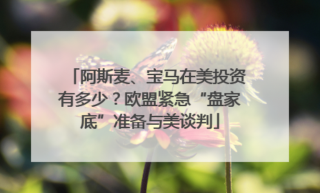 阿斯麦、宝马在美投资有多少？欧盟紧急“盘家底”准备与美谈判