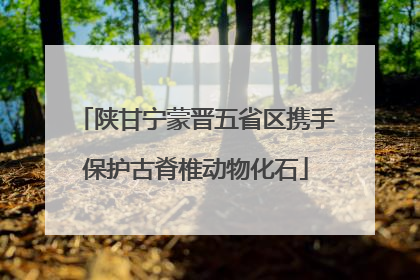 陕甘宁蒙晋五省区携手保护古脊椎动物化石