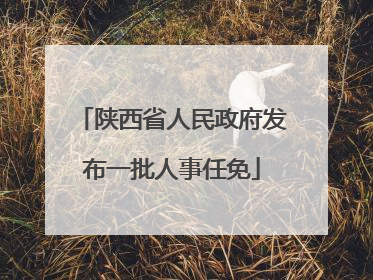 陕西省人民政府发布一批人事任免
