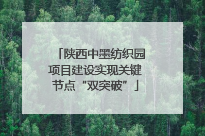 陕西中墨纺织园项目建设实现关键节点“双突破”