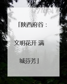陕西府谷：文明花开 满城芬芳