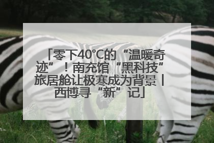 零下40℃的“温暖奇迹”！南充馆“黑科技”旅居舱让极寒成为背景丨西博寻“新”记