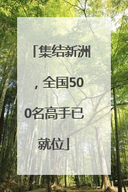 集结新洲，全国500名高手已就位