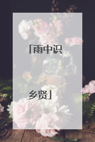 雨中识乡贤