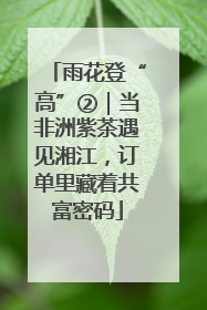 雨花登“高”②｜当非洲紫茶遇见湘江，订单里藏着共富密码