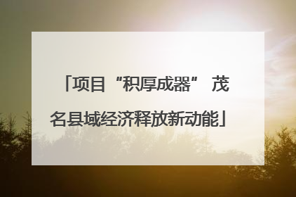 项目“积厚成器” 茂名县域经济释放新动能
