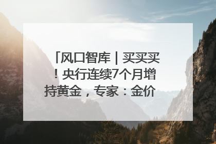 风口智库｜买买买！央行连续7个月增持黄金，专家：金价或仍易涨难跌