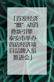 首发经济“燃”动消费新引擎 泰安市举办首店经济项目品牌入驻推进会
