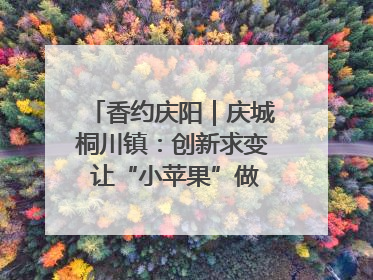 香约庆阳｜庆城桐川镇：创新求变 让“小苹果”做成“大产业”