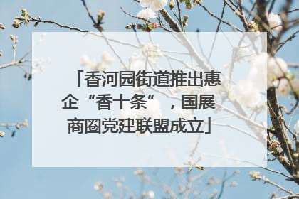 香河园街道推出惠企“香十条”，国展商圈党建联盟成立
