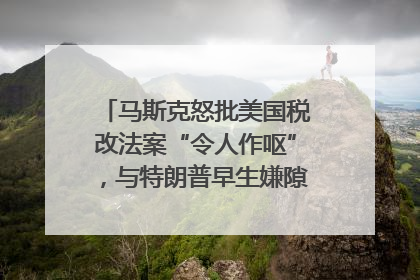 马斯克怒批美国税改法案“令人作呕”，与特朗普早生嫌隙？｜国际识局