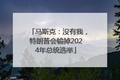 马斯克：没有我，特朗普会输掉2024年总统选举
