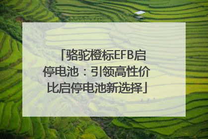 骆驼橙标EFB启停电池：引领高性价比启停电池新选择