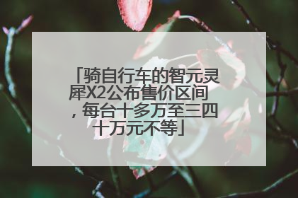 骑自行车的智元灵犀X2公布售价区间，每台十多万至三四十万元不等