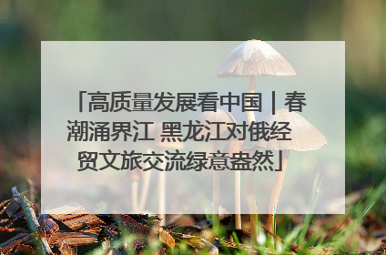 高质量发展看中国｜春潮涌界江 黑龙江对俄经贸文旅交流绿意盎然