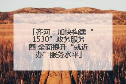 齐河：加快构建“1530”政务服务圈 全面提升“就近办”服务水平