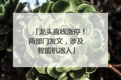 龙头直线涨停！两部门发文，涉及智能机器人