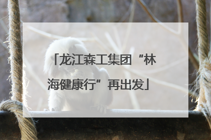 龙江森工集团“林海健康行”再出发