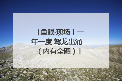 鱼眼·现场丨一年一度 驾龙出涌（内有全图）