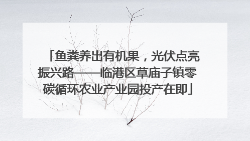 鱼粪养出有机果，光伏点亮振兴路——临港区草庙子镇零碳循环农业产业园投产在即