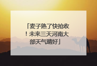 麦子熟了快抢收！未来三天河南大部天气晴好