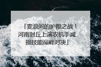 麦浪间的护粮之战！河南封丘上演农机手减损技能巅峰对决