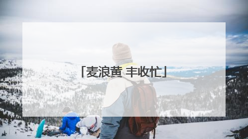 麦浪黄 丰收忙