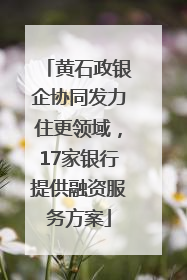 黄石政银企协同发力住更领域，17家银行提供融资服务方案