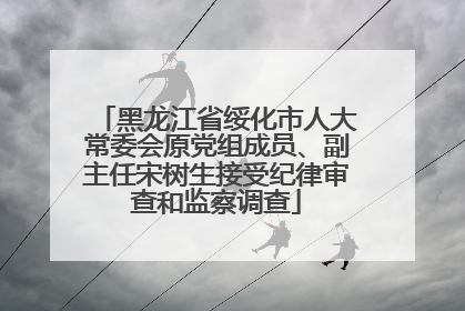 黑龙江省绥化市人大常委会原党组成员、副主任宋树生接受纪律审查和监察调查