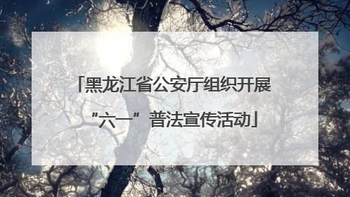 黑龙江省公安厅组织开展“六一”普法宣传活动