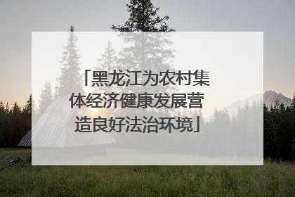 黑龙江为农村集体经济健康发展营造良好法治环境