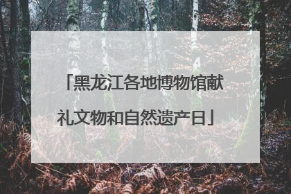 黑龙江各地博物馆献礼文物和自然遗产日