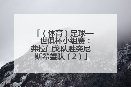 （体育）足球——世俱杯小组赛：弗拉门戈队胜突尼斯希望队（2）