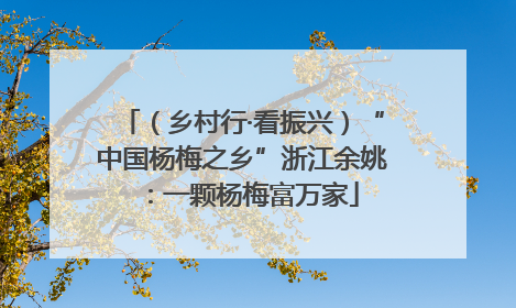 （乡村行·看振兴）“中国杨梅之乡”浙江余姚：一颗杨梅富万家