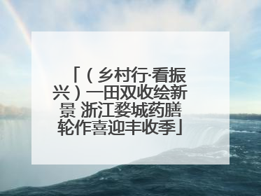 （乡村行·看振兴）一田双收绘新景 浙江婺城药膳轮作喜迎丰收季